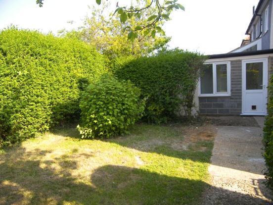 Garden (3)