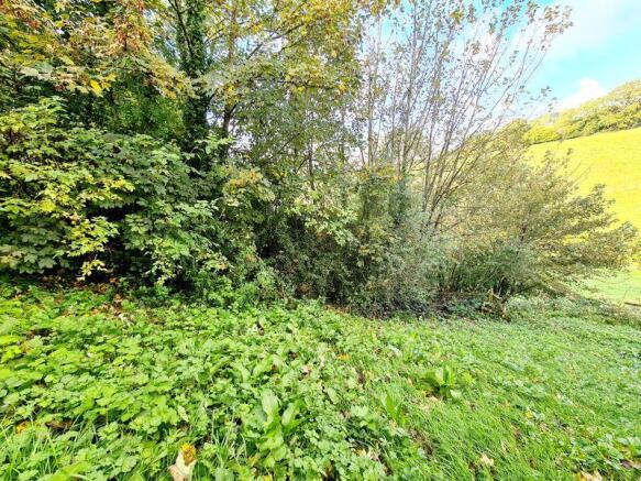 Side garden 