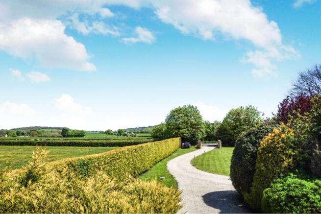Driveway