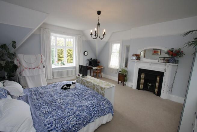Photo 7