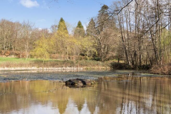 31 - Moons Mill TN22
