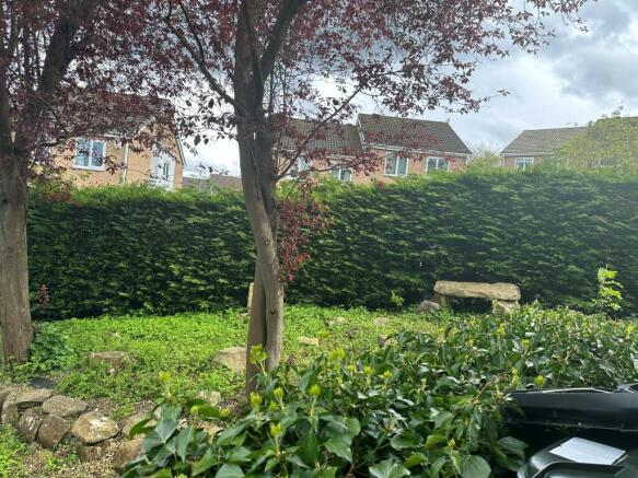 Photo 15