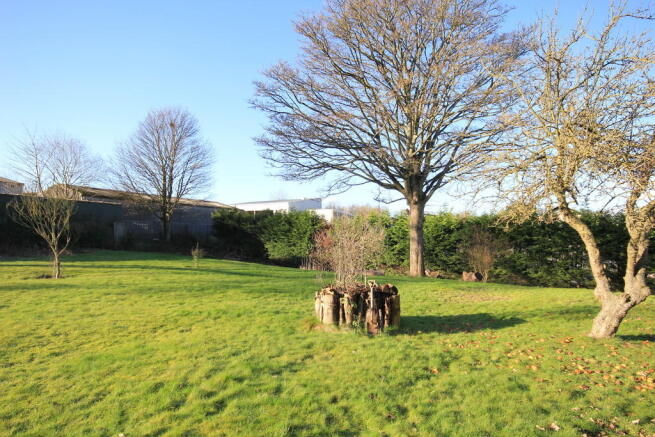 Photo 10