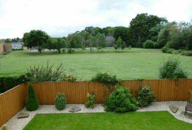 View from Bedroom