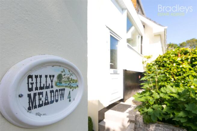 Gilly Meadow