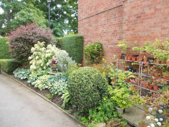 Photo 43