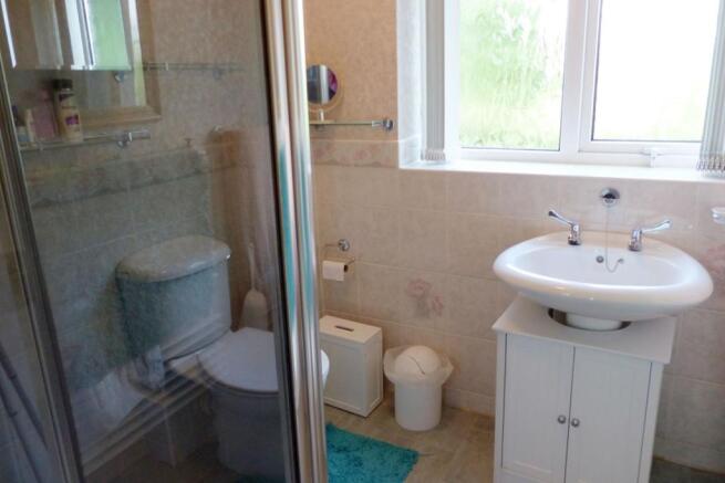 Picture 11