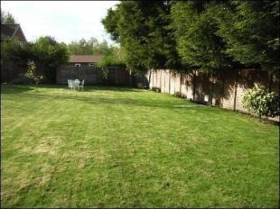 Garden 2