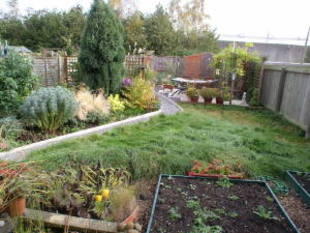 Photo 5