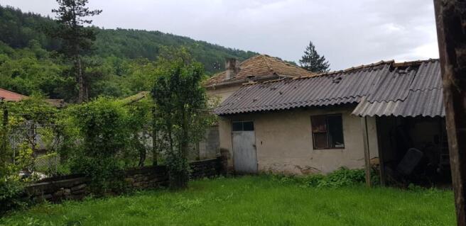 View of an outbuilding with corrugated roof next to a garden area with green grass and trees, enclosed by a stone wall and wire fence.