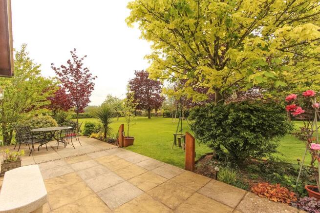 Garden at Back