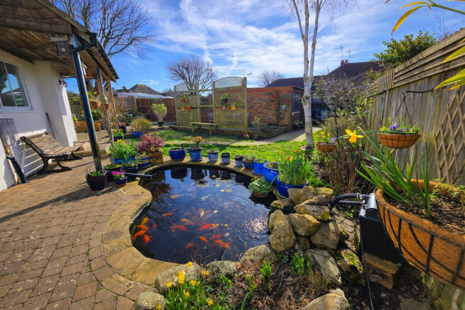 Pond