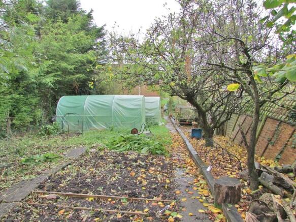 Garden 1