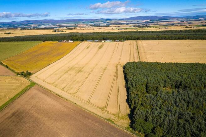 Aerial 2