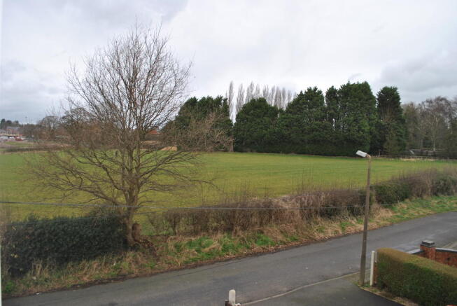 View To The Front