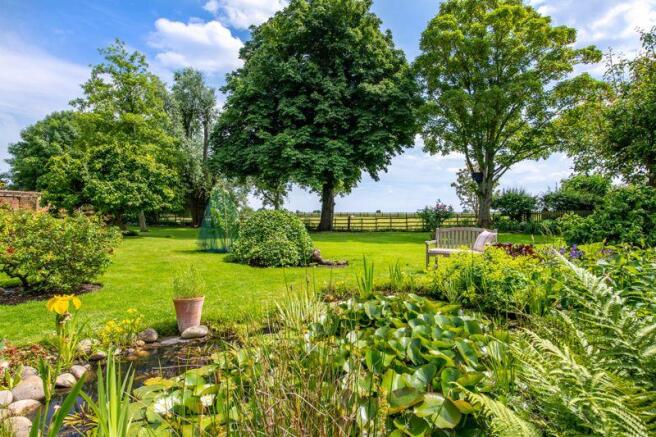 Garden pond area