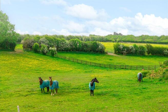 Paddocks