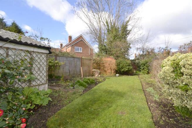 garden 3.jpg