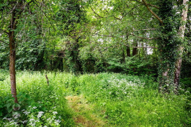 Photo 29