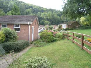 Garden and View