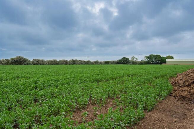Land At Bempton Lane photo 4