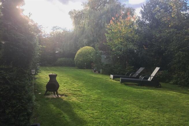 Garden 3