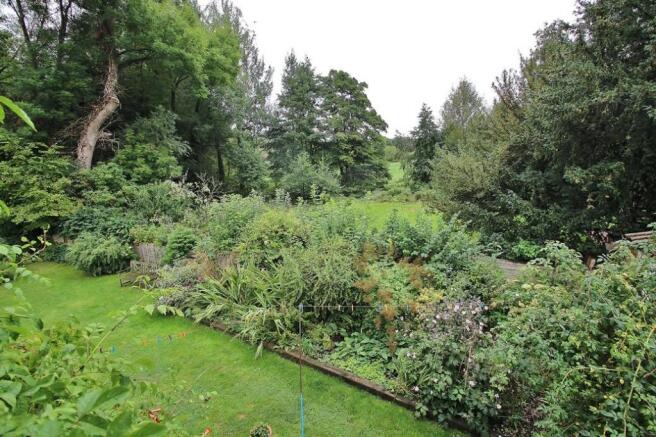 Rear Garden & View Elevated.JPG
