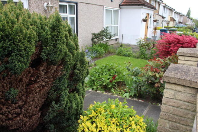 Photo 15
