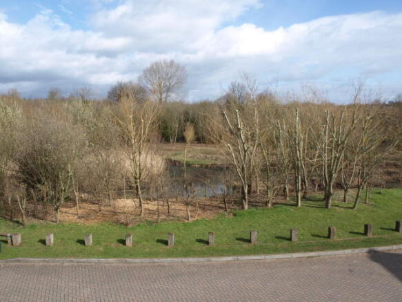 View To The Front