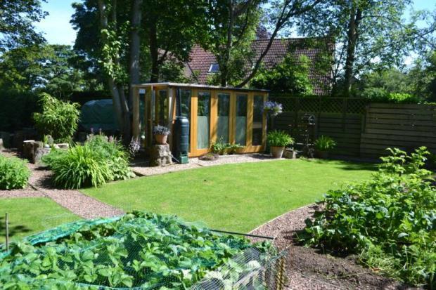 Garden 2