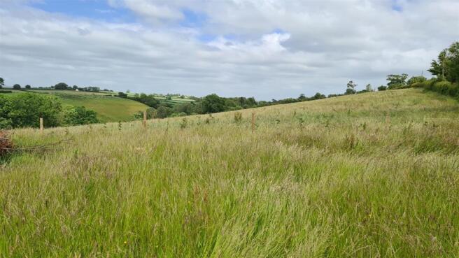 2022-06-10 14.47.17.jpg