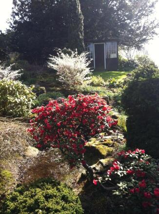 Photo 20