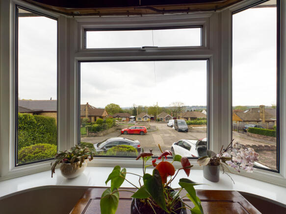View from Front Window