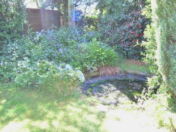 Garden 4