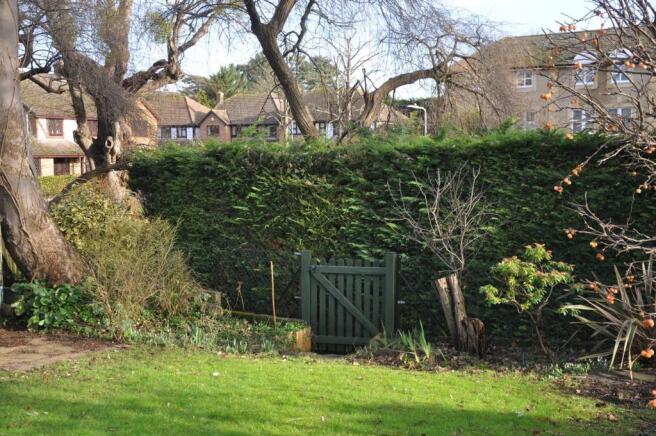 Garden_3.JPG