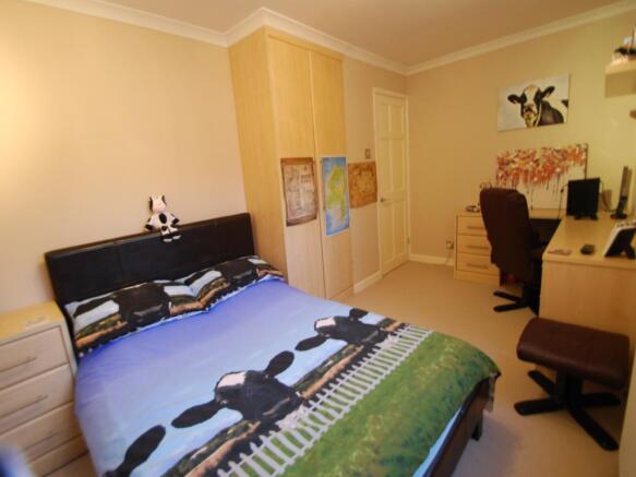 Picture 12