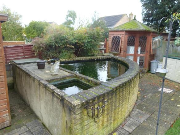 Koi Pond