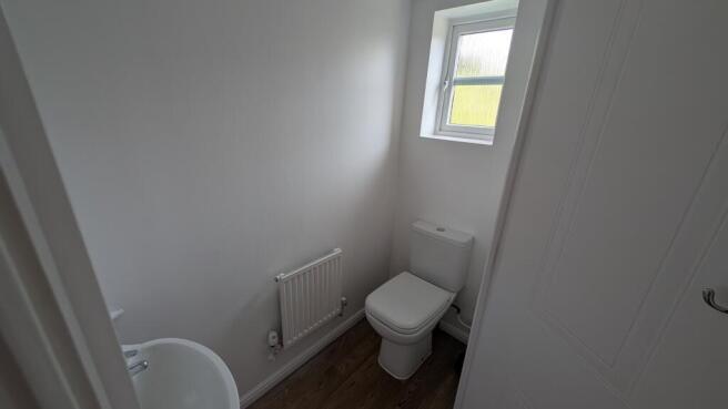 PXL_20260310_1138049