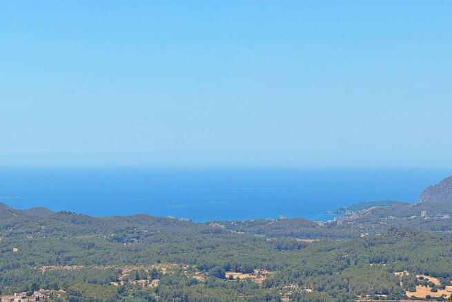02-calvia-Rueckzugsort mit Meerblick ¿ Baugrundstueck in Son Font-kaufen-wald