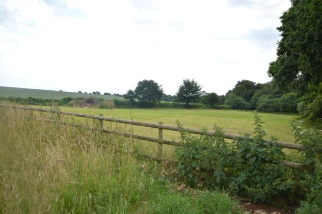 View From Garden