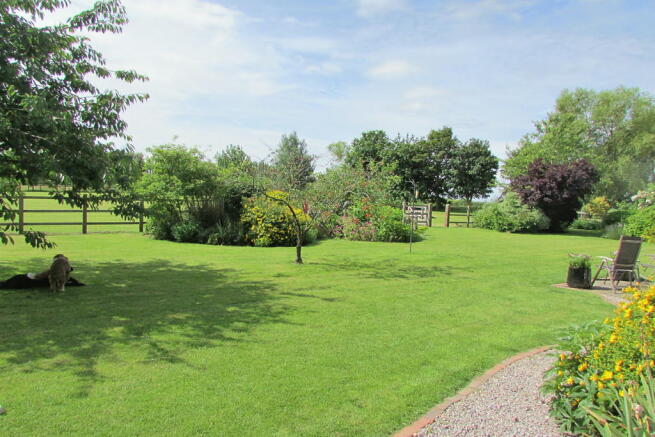 Photo 22
