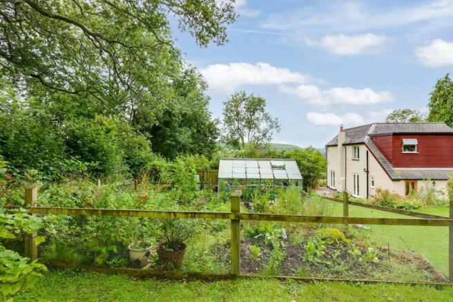 Vegetable Garden