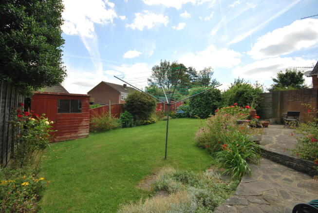 Photo 11