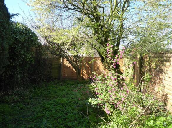 127 CHANTRY ROAD - REAR GARDEN.JPG