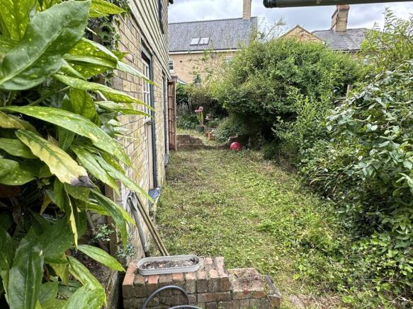 Garden 3.JPG