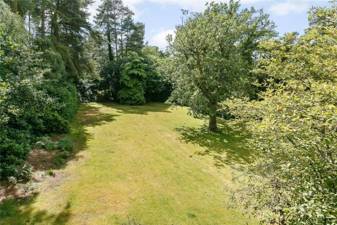 View Of Garden