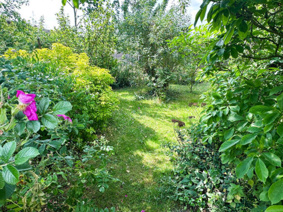 Garden 2_edited