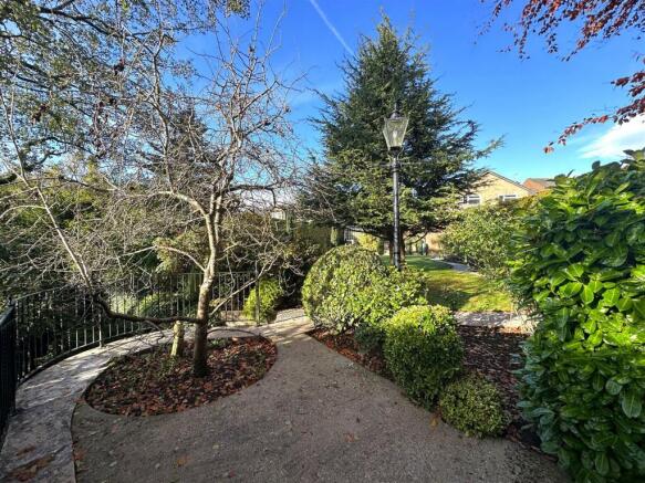 garden 5.jpg