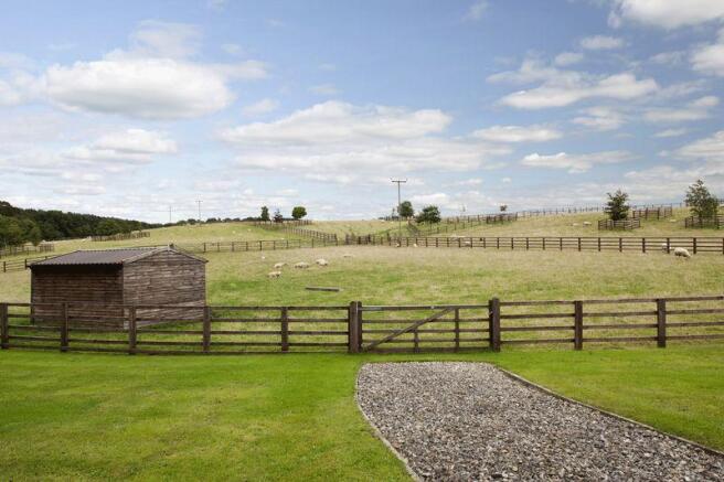 Paddocks