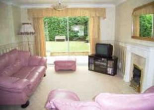 Lounge Area